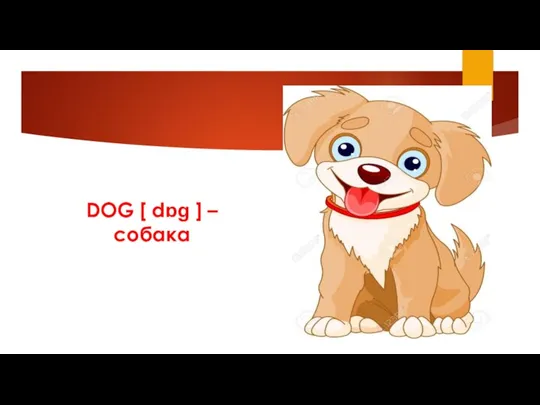 DOG [ dɒɡ ] – собака