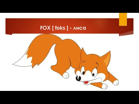 FOX [ fɒks ] - лиса