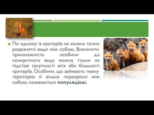 По одному із критеріїв не можна точно розрізняти види між собою. Визначити