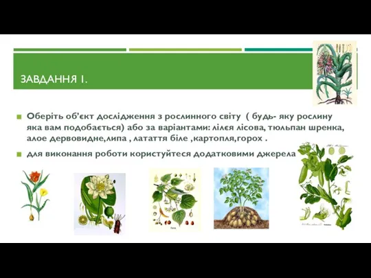 ЗАВДАННЯ 1. Оберіть об’єкт дослідження з рослинного світу ( будь- яку рослину
