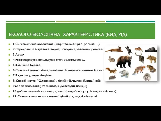 ЕКОЛОГО-БІОЛОГІЧНА ХАРАКТЕРИСТИКА (ВИД, РІД) 1.Систематичне положення ( царство, клас, ряд, родина….) 2.Середовище