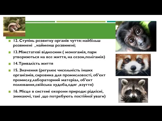 12. Ступінь розвитку органів чуття: найбільш розвинені , найменш розвинені; 13.Міжстатеві відносини