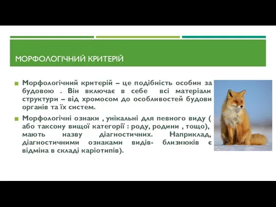 МОРФОЛОГІЧНИЙ КРИТЕРІЙ Морфологічний критерій – це подібність особин за будовою . Він