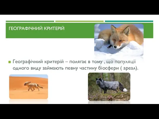 ГЕОГРАФІЧНИЙ КРИТЕРІЙ Географічний критерій – полягає в тому , що популяції одного