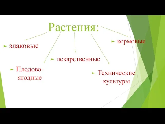 Растения: кормовые лекарственные злаковые Плодово- ягодные Технические культуры