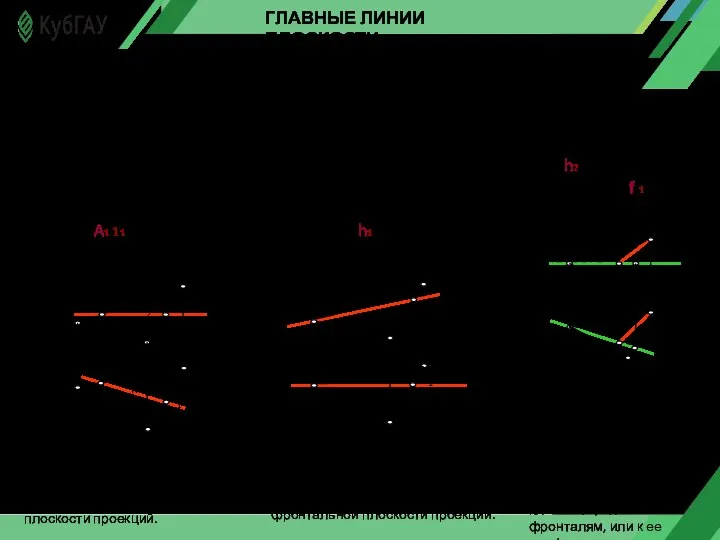 ГЛАВНЫЕ ЛИНИИ ПЛОСКОСТИ В любой плоскости можно провести бесчисленное множество главных линий: