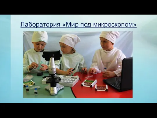 Лаборатория «Мир под микроскопом»