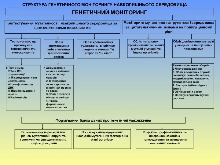 ГЕНЕТИЧНИЙ МОНІТОРИНГ Біотестування мутагенності навколишнього середовища за цитогенетичними показниками Моніторинг мутагенної напруженості