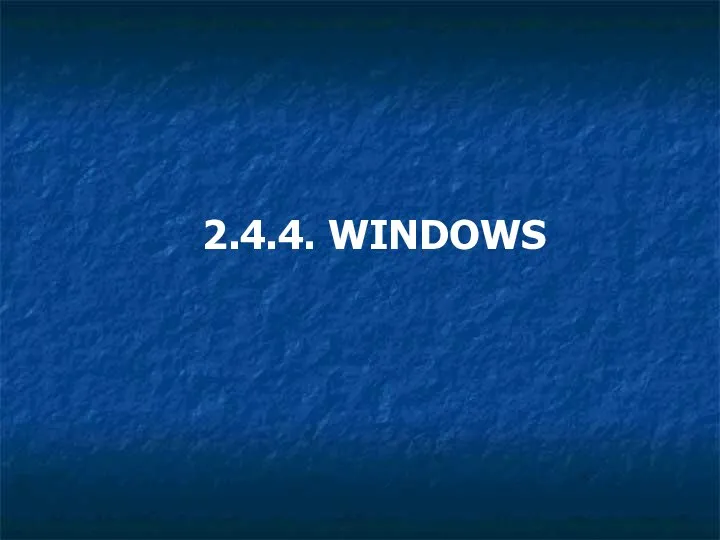 2.4.4. WINDOWS