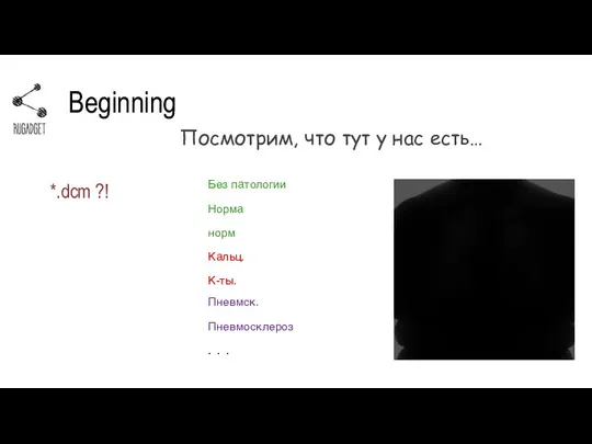 Beginning Посмотрим, что тут у нас есть… *.dcm ?!