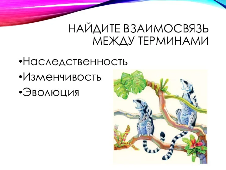 НАЙДИТЕ ВЗАИМОСВЯЗЬ МЕЖДУ ТЕРМИНАМИ Наследственность Изменчивость Эволюция