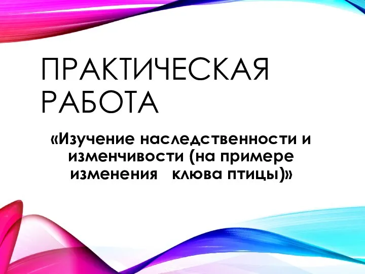 ПРАКТИЧЕСКАЯ РАБОТА «Изучение наследственности и изменчивости (на примере изменения клюва птицы)»