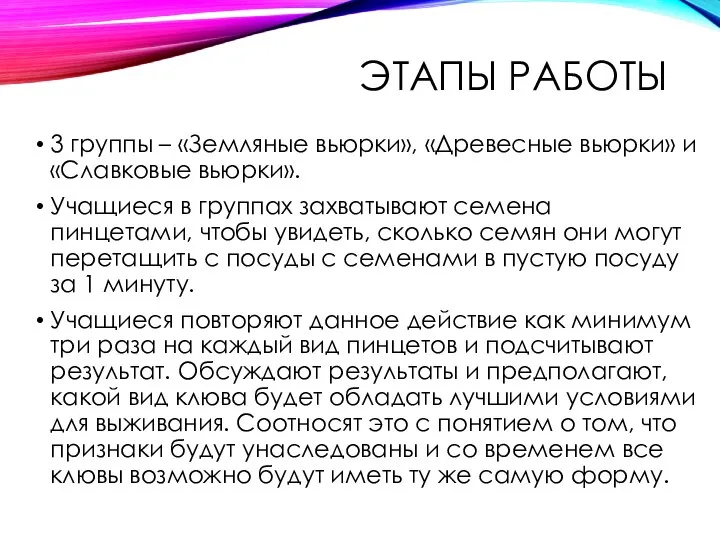 ЭТАПЫ РАБОТЫ 3 группы – «Земляные вьюрки», «Древесные вьюрки» и «Славковые вьюрки».