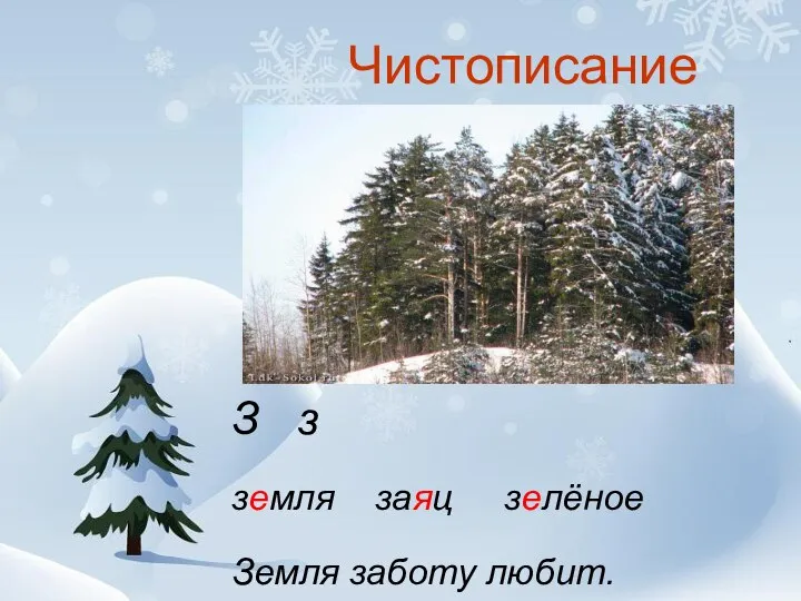 Чистописание З з земля заяц зелёное Земля заботу любит.