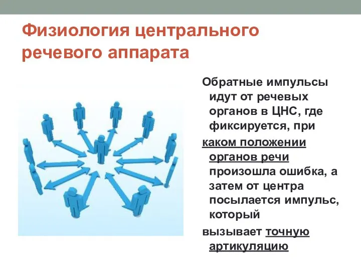 Физиология центрального речевого аппарата Обратные импульсы идут от речевых органов в ЦНС,