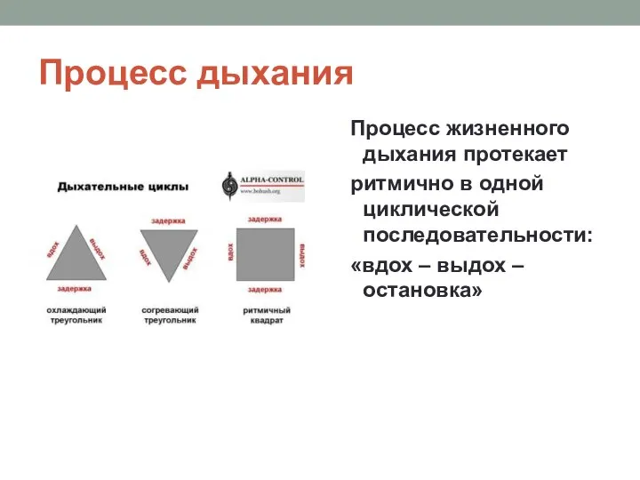 Процесс дыхания Процесс жизненного дыхания протекает ритмично в одной циклической последовательности: «вдох – выдох – остановка»