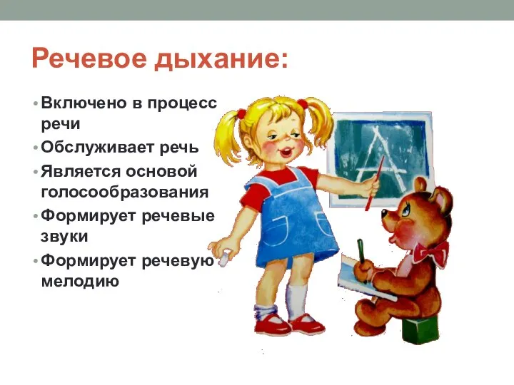 Речевое дыхание: Включено в процесс речи Обслуживает речь Является основой голосообразования Формирует