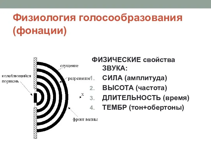 Физиология голосообразования (фонации) ФИЗИЧЕСКИЕ свойства ЗВУКА: СИЛА (амплитуда) ВЫСОТА (частота) ДЛИТЕЛЬНОСТЬ (время) ТЕМБР (тон+обертоны)