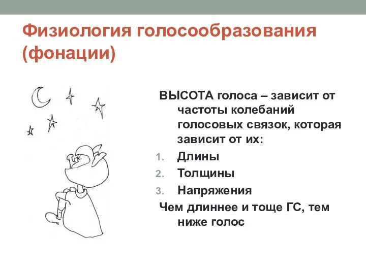 Физиология голосообразования (фонации) ВЫСОТА голоса – зависит от частоты колебаний голосовых связок,