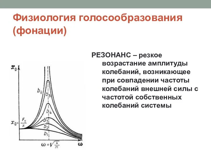 Физиология голосообразования (фонации) РЕЗОНАНС – резкое возрастание амплитуды колебаний, возникающее при совпадении