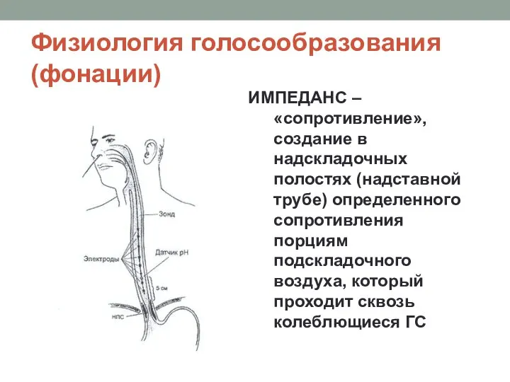 Физиология голосообразования (фонации) ИМПЕДАНС – «сопротивление», создание в надскладочных полостях (надставной трубе)