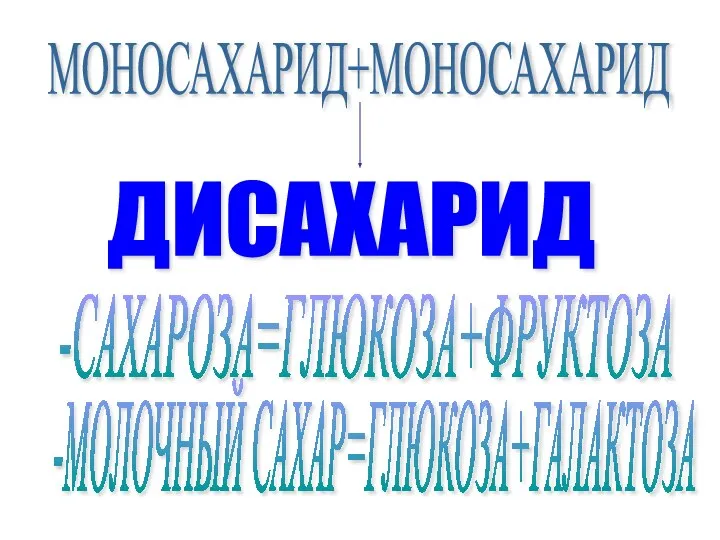 МОНОСАХАРИД+МОНОСАХАРИД ДИСАХАРИД -САХАРОЗА=ГЛЮКОЗА+ФРУКТОЗА -МОЛОЧНЫЙ САХАР=ГЛЮКОЗА+ГАЛАКТОЗА