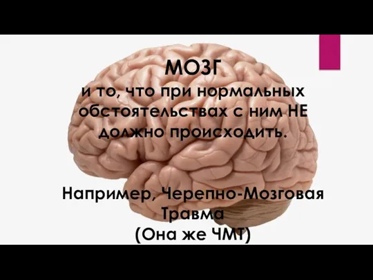 МОЗГ и то, что при нормальных обстоятельствах с ним НЕ должно происходить.