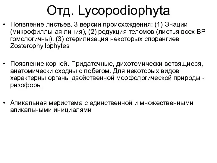 Отд. Lycopodiophyta Появление листьев. 3 версии происхождения: (1) Энации (микрофилльная линия), (2)