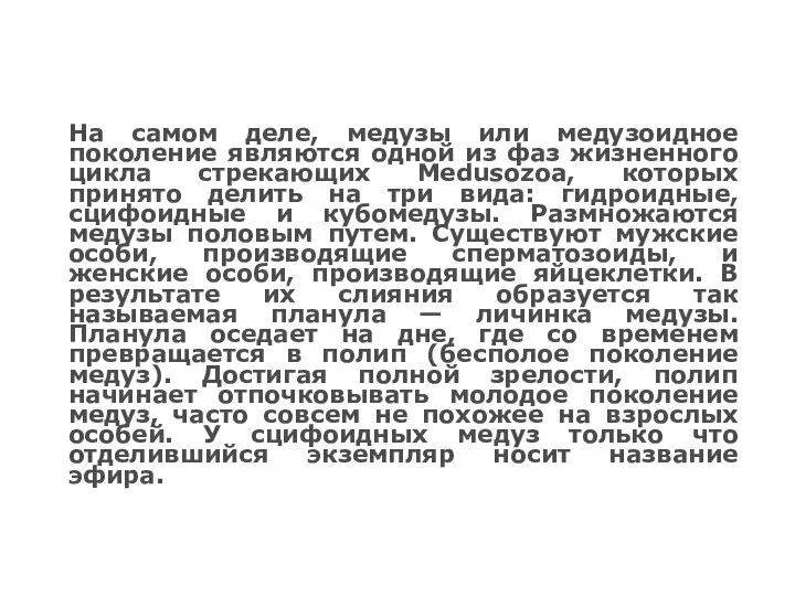 На самом деле, медузы или медузоидное поколение являются одной из фаз жизненного