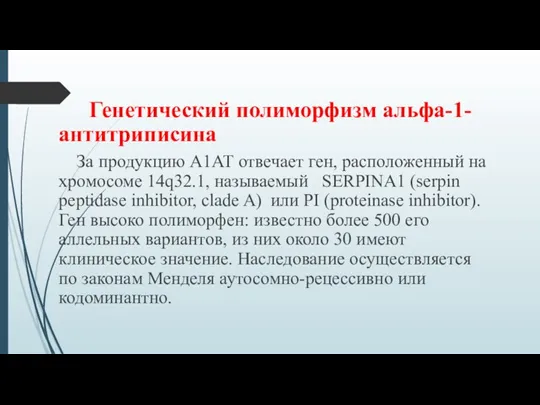 Генетический полиморфизм альфа-1-антитриписина За продукцию А1АТ отвечает ген, расположенный на хромосоме 14q32.1,