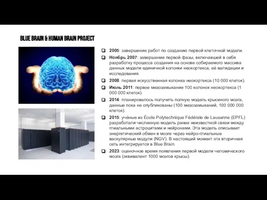 BLUE BRAIN & Human brain project 2005: завершение работ по созданию первой