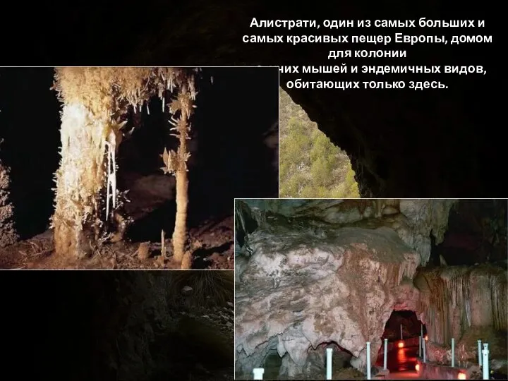 Алистрати, один из самых больших и самых красивых пещер Европы, домом для