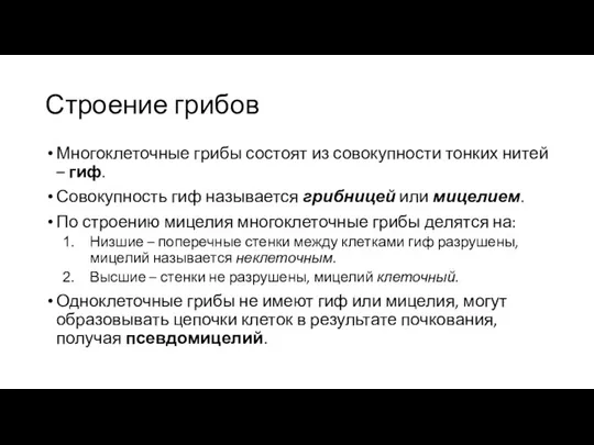 Строение грибов Многоклеточные грибы состоят из совокупности тонких нитей – гиф. Совокупность