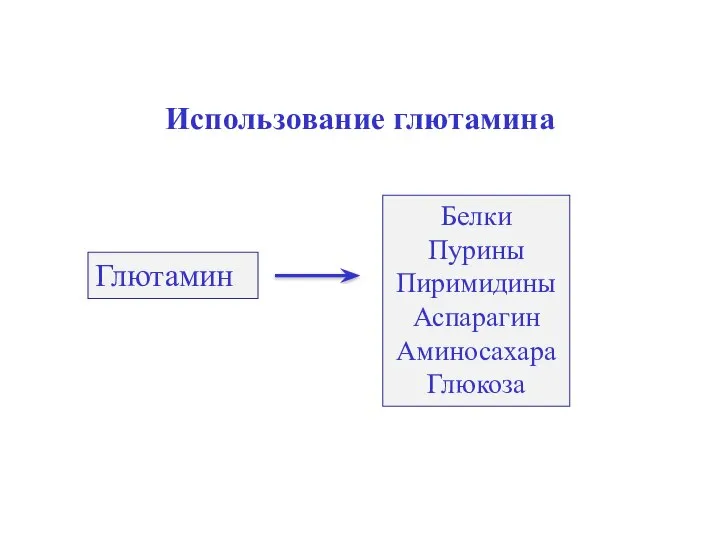 Использование глютамина Глютамин Белки Пурины Пиримидины Аспарагин Аминосахара Глюкоза