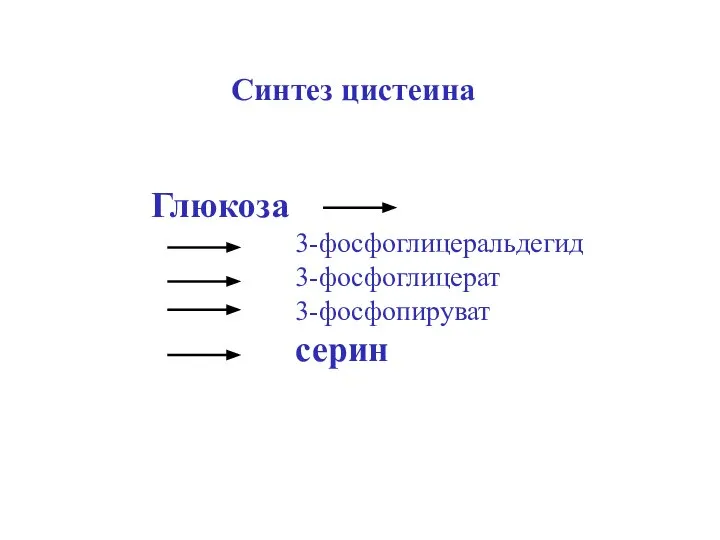 Синтез цистеина Глюкоза 3-фосфоглицеральдегид 3-фосфоглицерат 3-фосфопируват серин