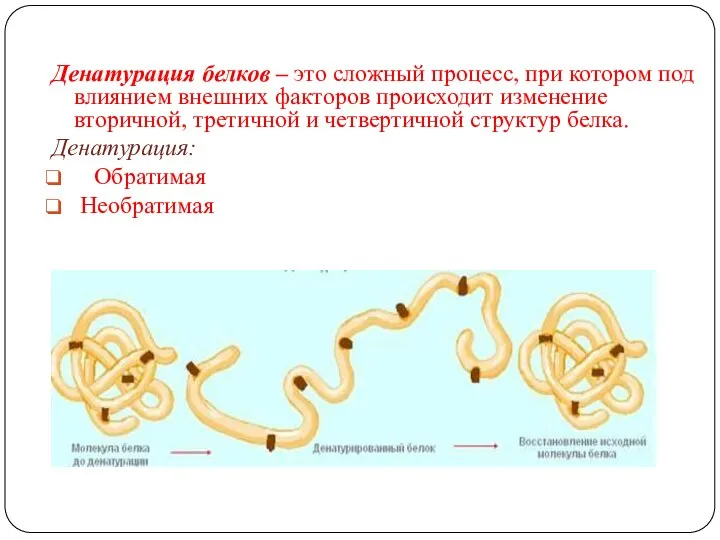 Денатурация белков – это сложный процесс, при котором под влиянием внешних факторов