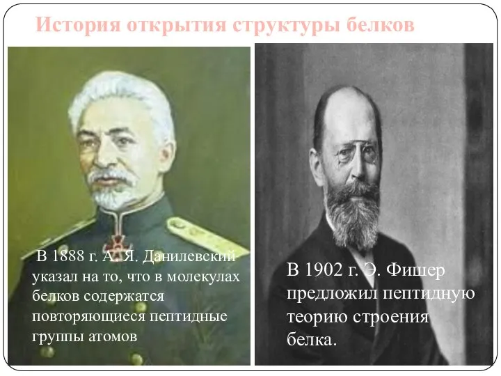 История открытия структуры белков В 1888 г. А. Я. Данилевский указал на