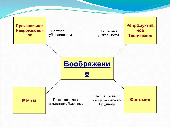 Воображение Произвольное Непроизвольное Фантазии Мечты Репродуктивное Творческое По степени субъективности По отношению