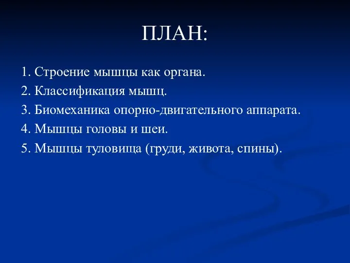 ПЛАН: 1. Строение мышцы как органа. 2. Классификация мышц. 3. Биомеханика опорно-двигательного