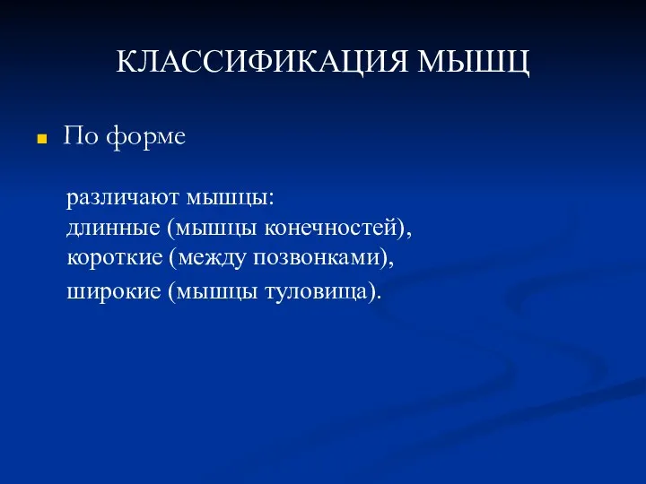 КЛАССИФИКАЦИЯ МЫШЦ По форме различают мышцы: длинные (мышцы конечностей), короткие (между позвонками), широкие (мышцы туловища).