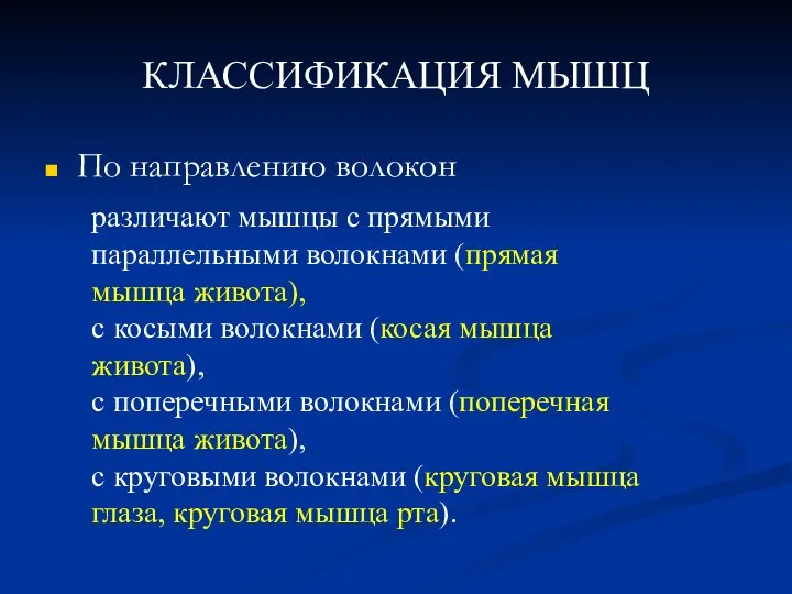 КЛАССИФИКАЦИЯ МЫШЦ По направлению волокон различают мышцы с прямыми параллельными волокнами (прямая