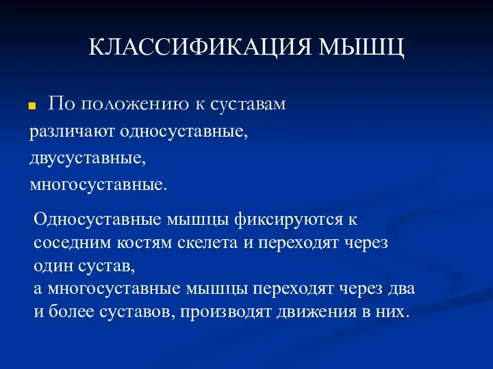 КЛАССИФИКАЦИЯ МЫШЦ По положению к суставам различают односуставные, двусуставные, многосуставные. Односуставные мышцы