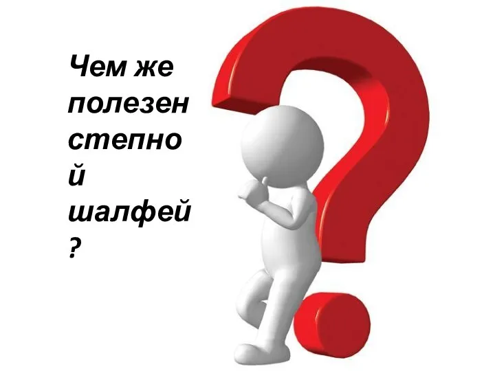 Чем же полезен степной шалфей ?