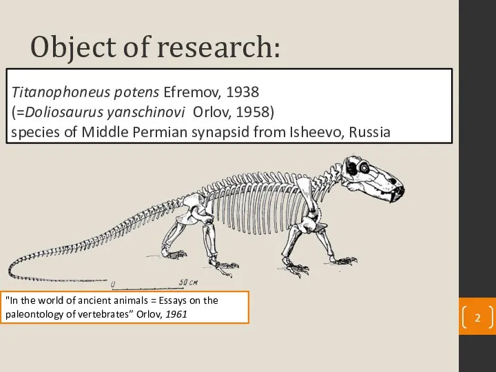 Object of research: "In the world of ancient animals = Essays on