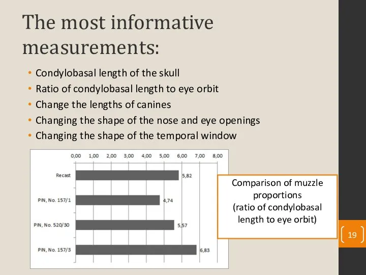 The most informative measurements: Condylobasal length of the skull Ratio of condylobasal