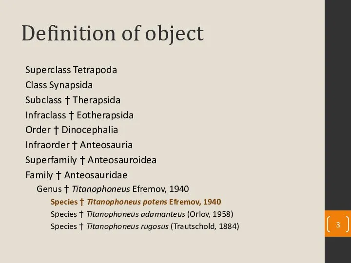 Definition of object Superclass Tetrapoda Class Synapsida Subclass † Therapsida Infraclass †