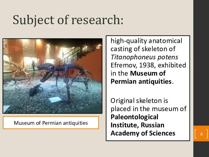 Subject of research: high-quality anatomical casting of skeleton of Titanophoneus potens Efremov,