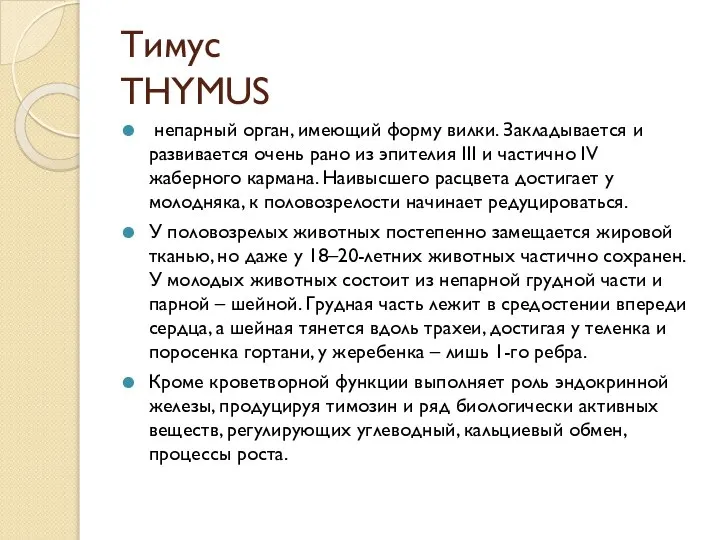 Тимус THYMUS непарный орган, имеющий форму вилки. Закладывается и развивается очень рано