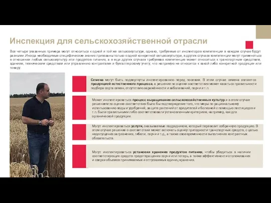 Семена могут быть подвергнуты инспектированию перед посевом. В этом случае семена являются