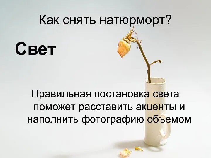 Как снять натюрморт? Свет Правильная постановка света поможет расставить акценты и наполнить фотографию объемом